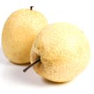 Two ripe Asian Pears.