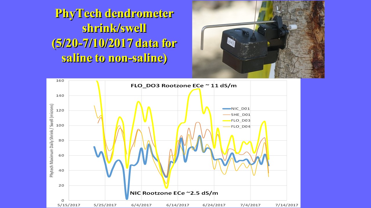 Pistachio Irrigation Monitoring and Scheduling Demonstration Phytech Dendrometers Compare