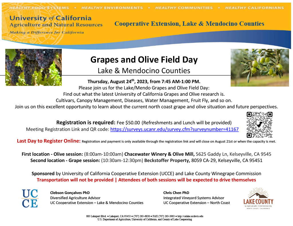 Joint Grapes and Olive Field Day