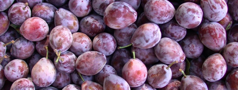 A Stack of Plums