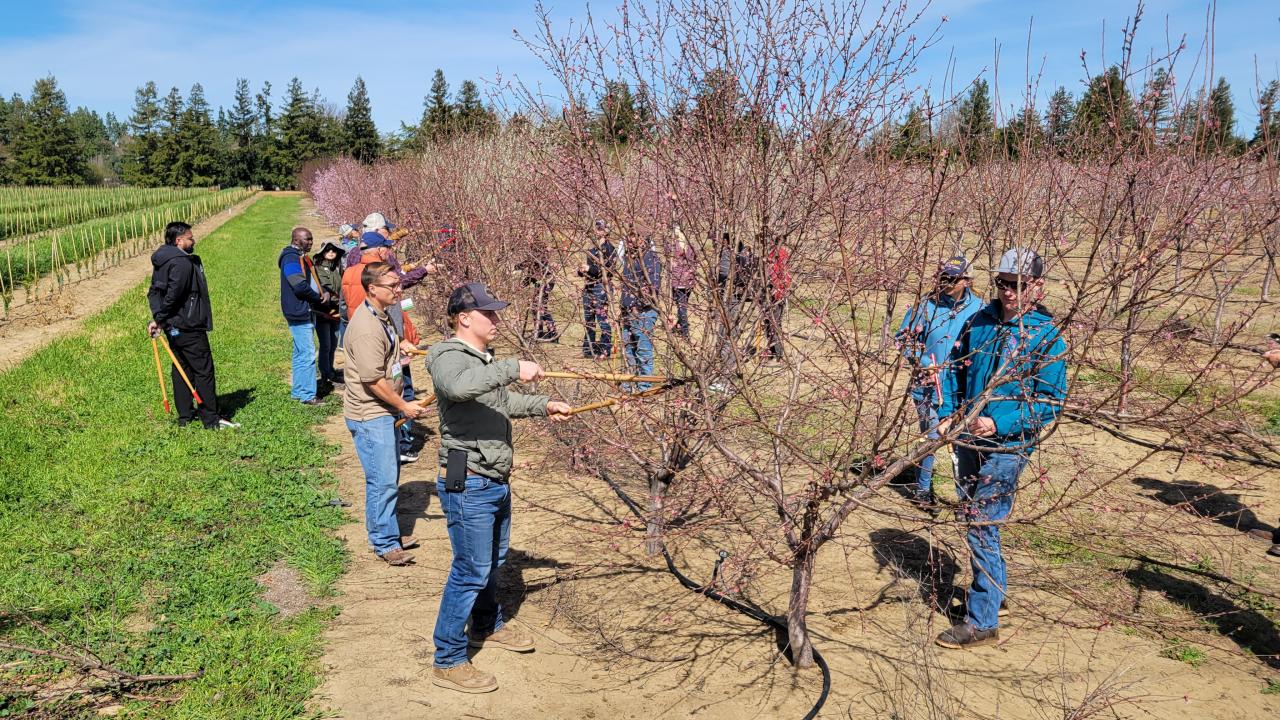 FNRIC Tree Pruning Class