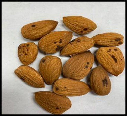 Image of a pile of almonds with pronounced dark spots