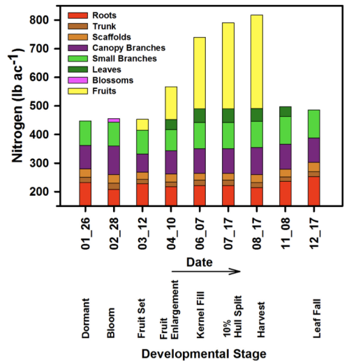 Figure 1: Changes in whole-orchard N balance in annual and perennial organs as determined by sequential tree excavation and serial sampling of all organs scaled to a whole-orchard basis.