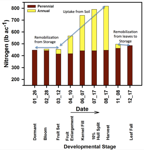 Figure 2: Data presented here are identical to that presented in Figure 1 with the exception that all annual and perennial tissues have been aggregated.