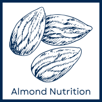 Almond Nutrition Icon