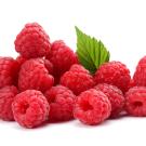 Raspberries in a pile with leaves behind them.