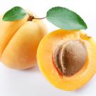 An apricot with the pit exposed.