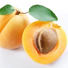 An apricot with the pit exposed.
