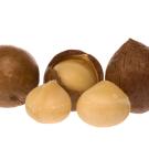 Macadamia nuts with and without shells.