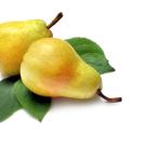 Two pears placed atop leaves.