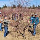 FNRIC Tree Pruning Class
