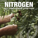 Almond Nitrogen Best Management Practices