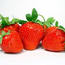 Ripe strawberries with leaves on.
