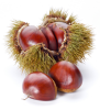 A split chestnut.